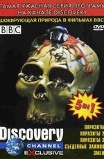 BBC. Паразиты. Съеденные заживо. Змеи / BBC. Discovery channel exclusive (2002) смотреть онлайн бесплатно в отличном качестве