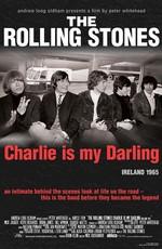 The Rolling Stones: Чарли — моя лапочка / The Rolling Stones: Charlie Is My Darling - Ireland 1965 () смотреть онлайн бесплатно в отличном качестве