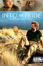 Жизнь в стае / Into the Pride (2009) смотреть онлайн бесплатно в отличном качестве