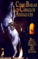 Как танцуют андалузcкие лошади / Como bailan las caballos andaluces (2007) смотреть онлайн бесплатно в отличном качестве