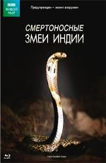 BBC: Смертоносные змеи Индии (BBC: One Million Snake Bites) 2011 года смотреть онлайн бесплатно в отличном качестве. Постер