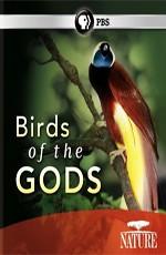 BBC: Живой мир (Мир природы): Райские птицы / BBC:  Natural World. Birds of Paradise () смотреть онлайн бесплатно в отличном качестве