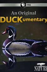 Необычный документальный фильм про уток / An Original DUCKumentary () смотреть онлайн бесплатно в отличном качестве