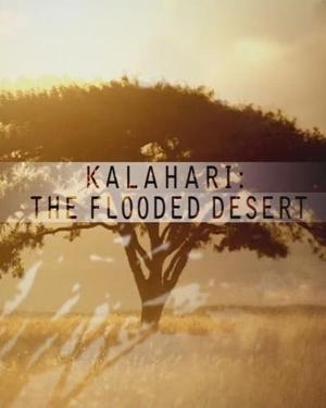 National Geographic: Калахари. Затопленная Пустыня (National Geographic: Kalahari. The Flooded Desert) 2009 года смотреть онлайн бесплатно в отличном качестве. Постер