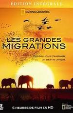 National Geographic: Великие миграции / National Geographic: Great Migrations () смотреть онлайн бесплатно в отличном качестве