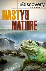 Discovery: Жизнь отвратительных животных / Discovery: Nasty by Nature (2008) смотреть онлайн бесплатно в отличном качестве