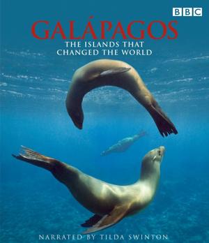 BBC: Галапагосы / BBC: Galapagos (2007) смотреть онлайн бесплатно в отличном качестве