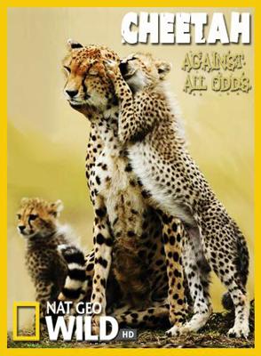 Гепарды - Наперекор всему / Cheetah - Against All Odds (2008) смотреть онлайн бесплатно в отличном качестве