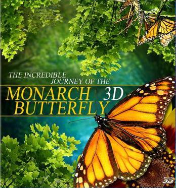 Полет бабочки / Flight of the Monarch Butterfly () смотреть онлайн бесплатно в отличном качестве