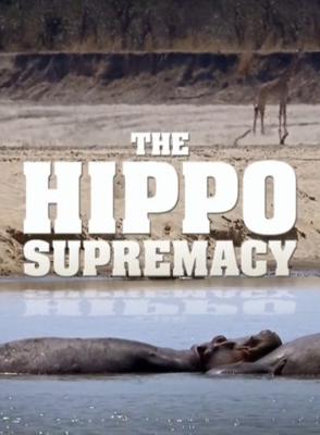 Nat Geo Wild: Превосходство бегемота (The Hippo Supremacy)  года смотреть онлайн бесплатно в отличном качестве. Постер