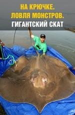 На крючке: Ловля монстров. Гигантский скат / National Geografic: Monster Fish. Giant Stingra (2009) смотреть онлайн бесплатно в отличном качестве