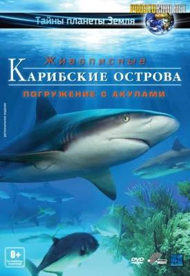 Карибские острова : Погружение с акулами / Adventure Carribean : Diving With Sharks (None) смотреть онлайн бесплатно в отличном качестве