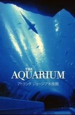 Аквариум / Atlanta Georgia Aquarium (2007) смотреть онлайн бесплатно в отличном качестве