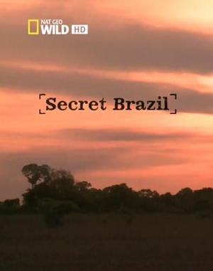 Nat Geo Wild: Неизвестная Бразилия / Nat Geo Wild: Secret Brazil (None) смотреть онлайн бесплатно в отличном качестве