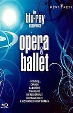 Избранные моменты оперных и балетных спектаклей / The Blu-Ray Experience: Opera & Ballet Highlights (2008) смотреть онлайн бесплатно в отличном качестве