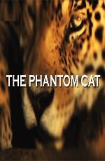 National Geographic: Неуловимая кошка / The Phantom Cat (None) смотреть онлайн бесплатно в отличном качестве