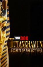 Тутанхамон - секреты юного фараона (Tutankhamun - the Secrets of the Boy King) 2006 года смотреть онлайн бесплатно в отличном качестве. Постер