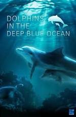 Дельфины в глубоком голубом океане (Dolphins In The Deep Blue Ocean) 2009 года смотреть онлайн бесплатно в отличном качестве. Постер