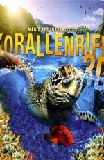 Кораллы 3Д: Магия Индо-Тихоокеании в 3Д / Corals 3D: Magic of the Indo-Pacific 3D () смотреть онлайн бесплатно в отличном качестве