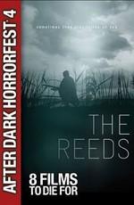 Тростник / The Reeds (2009) смотреть онлайн бесплатно в отличном качестве