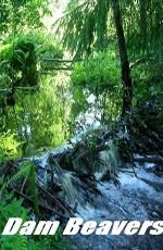 National Geographic: Бобровая плотина (National Geographic: Dam Beavers) 2009 года смотреть онлайн бесплатно в отличном качестве. Постер