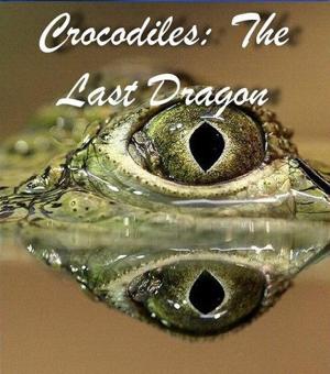 Крокодилы: Последний дракон / Crocodiles: The Last Dragon (2009) смотреть онлайн бесплатно в отличном качестве