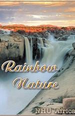 Радужная природа / Rainbow Nature (2008) смотреть онлайн бесплатно в отличном качестве