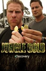 Discovery. Золото джунглей / Discovery. Jungle Gold (None) смотреть онлайн бесплатно в отличном качестве