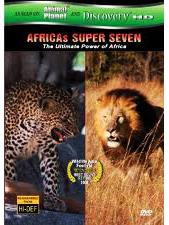 Великолепная семерка Африки / Africa's Super Seven (2005) смотреть онлайн бесплатно в отличном качестве