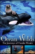 Обитатели глубин. Путешествия Феодора Питкерна (Ocean Wilds. The Journeys of Feodor Pitcairn) 2000 года смотреть онлайн бесплатно в отличном качестве. Постер