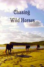 Вслед за дикими лошадьми / Chasing wild horses (2008) смотреть онлайн бесплатно в отличном качестве