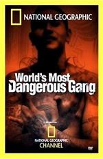 MS-13: Самая жестокая банда в мире (World's Most Dangerous Gang) 2005 года смотреть онлайн бесплатно в отличном качестве. Постер