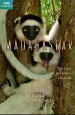 BBC: Мадагаскар / Madagascar (2011) смотреть онлайн бесплатно в отличном качестве