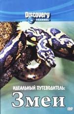 Discovery: Идеальный путеводитель. Змеи (Discovery: Ultimate Guide: Snakes)  года смотреть онлайн бесплатно в отличном качестве. Постер