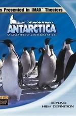 IMAX: Антарктика: Путешествие в неизвестную природу (IMAX: Antarctica: An Adventure Of A Different Nature)  года смотреть онлайн бесплатно в отличном качестве. Постер