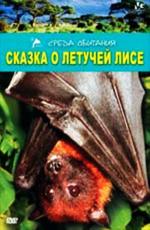 Сказка о летучей Лисе / Flying Fox Fairytale (2001) смотреть онлайн бесплатно в отличном качестве