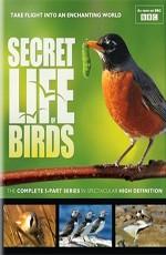 BBC. Тайная жизнь птиц (BBC. Secret Life of Birds)  года смотреть онлайн бесплатно в отличном качестве. Постер