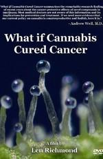 Что если марихуана лечила бы рак (What if cannabis cured cancer)  года смотреть онлайн бесплатно в отличном качестве. Постер