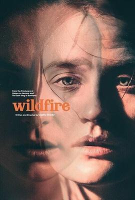 Из огня да в полымя / Wildfire (2020) смотреть онлайн бесплатно в отличном качестве