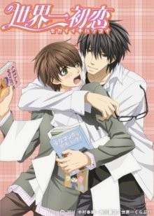 Лучшая в мире первая любовь [ТВ-2] (Sekaiichi hatsukoi) 2011 года смотреть онлайн бесплатно в отличном качестве. Постер