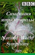 BBC: Симфония мира природы / BBC: Natural World Symphony (2005) смотреть онлайн бесплатно в отличном качестве