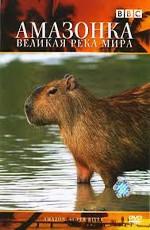 Амазонка - Великая река мира / Amazon: super river (2007) смотреть онлайн бесплатно в отличном качестве