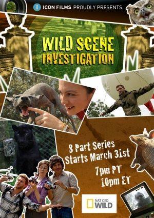 National Geographic: Детективы по делам животных / National Geographic: Wild Scene Investigation (2011) смотреть онлайн бесплатно в отличном качестве