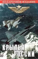 Крылья России () 2008 года смотреть онлайн бесплатно в отличном качестве. Постер