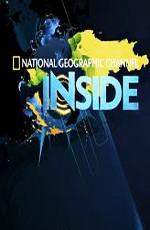 National Geographic: Взгляд изнутри / National Geographic: Inside (2006) смотреть онлайн бесплатно в отличном качестве