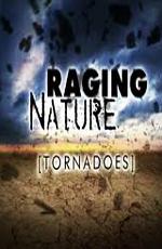 Discovery: Свирепая природа: Смерчи / Discovery: Raging Nature: Tornadoes (2009) смотреть онлайн бесплатно в отличном качестве