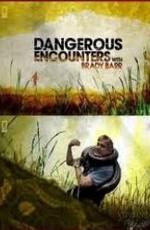 National Geographic: Опасные встречи: смертоносные змеи (Dangerous encounters) 2006 года смотреть онлайн бесплатно в отличном качестве. Постер