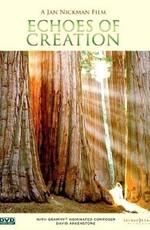 Отзвуки Творения / Echoes of Creation () смотреть онлайн бесплатно в отличном качестве