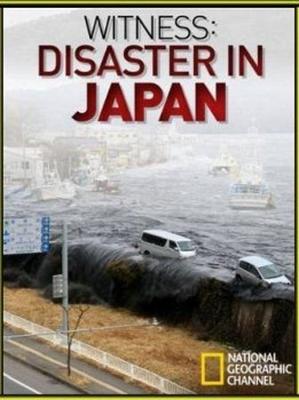 National Geographic: Свидетели японской катастрофы / Witness: Disaster in Japan (2011) смотреть онлайн бесплатно в отличном качестве