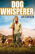 Переводчик с собачьего / Dog Whisperer with Cesar Millan () смотреть онлайн бесплатно в отличном качестве